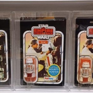 R5D4s.jpg