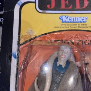 IMG_1444.jpeg