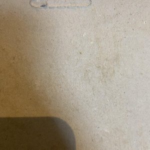 IMG_1450.jpeg