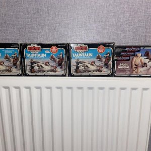 IMG_1806.jpeg