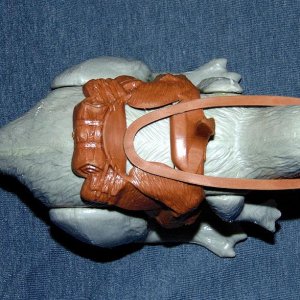 One Mammal - 04.jpg