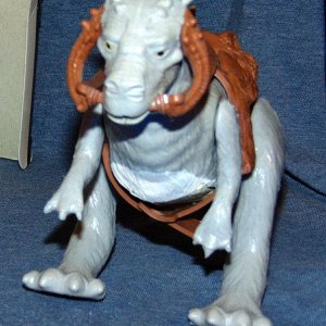 One Mammal - 06.jpg