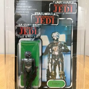 IMG_1152.jpeg
