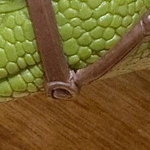 IMG_1222.jpeg