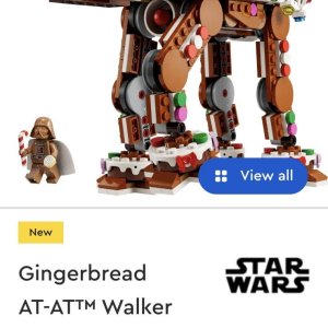 Screenshot_20250903_172329_Chrome.jpg