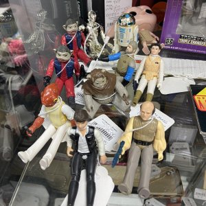 IMG_1384.jpeg