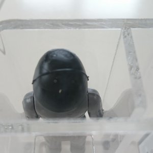 DSC_1982.JPG