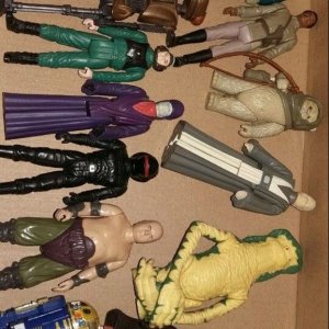 image.jpeg