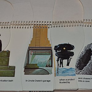 DSC_0088.jpg