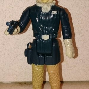 image.jpeg