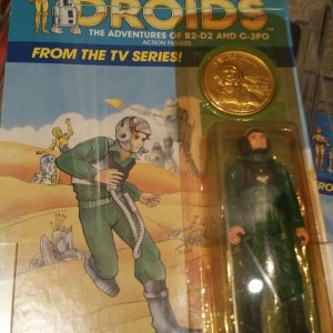 image.jpeg