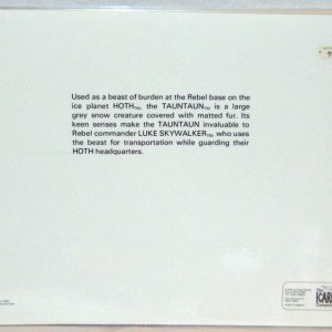 SW Place Mat 05 Rear copy.jpg