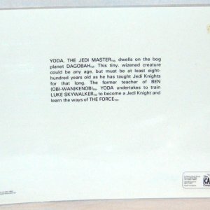 SW Place Mat 06 Rear copy.jpg