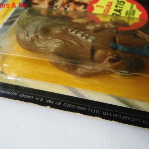 chewie B.JPG
