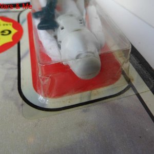 snowtrB.JPG
