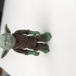 image.jpeg