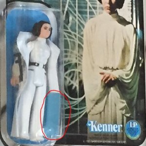 LeiaFooter.JPG