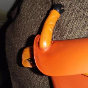 20170126_131301.jpg